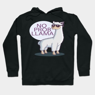 NO PROBLLAMA Hoodie